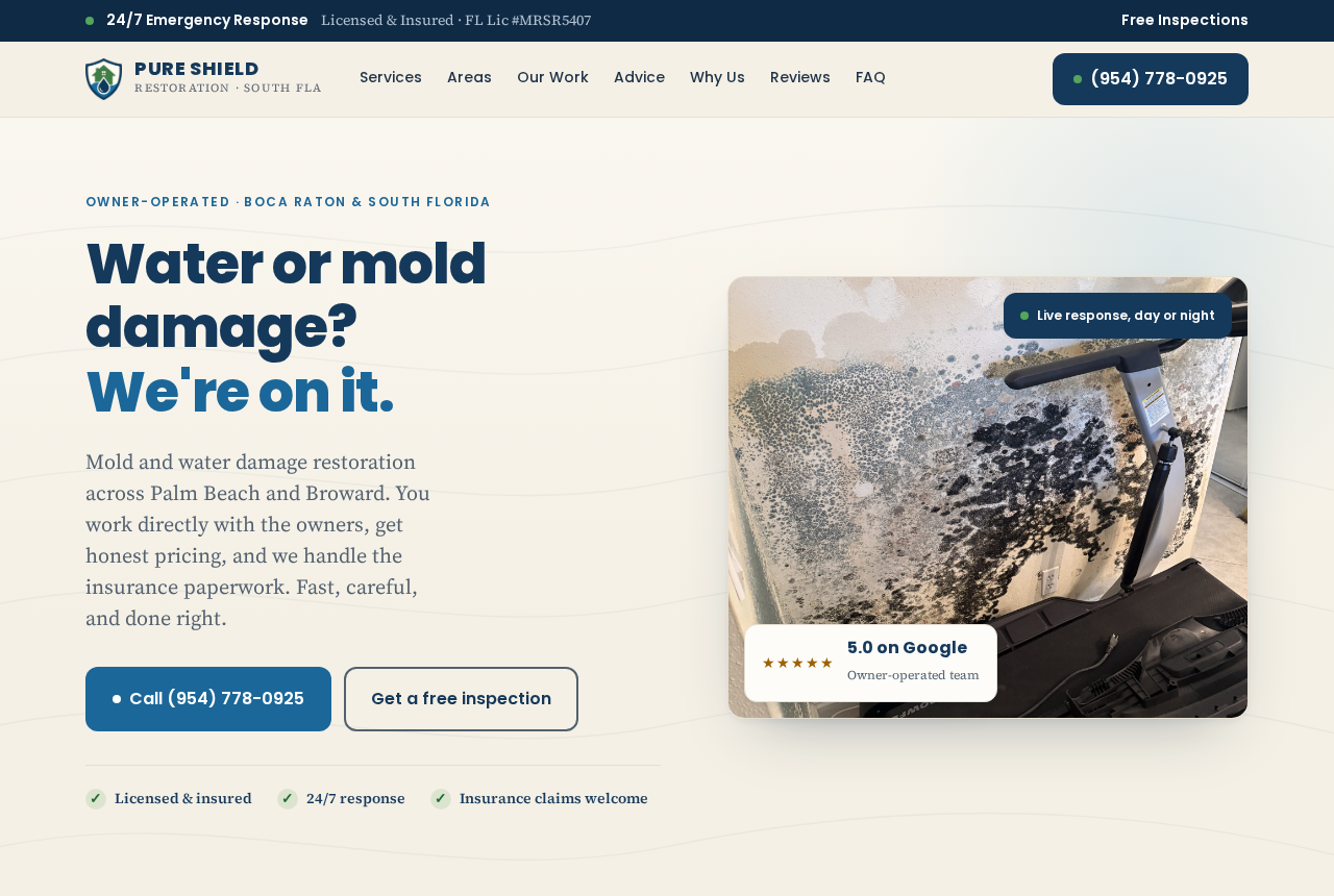 Pure Shield Restoration website built by Spencer Scott Digital